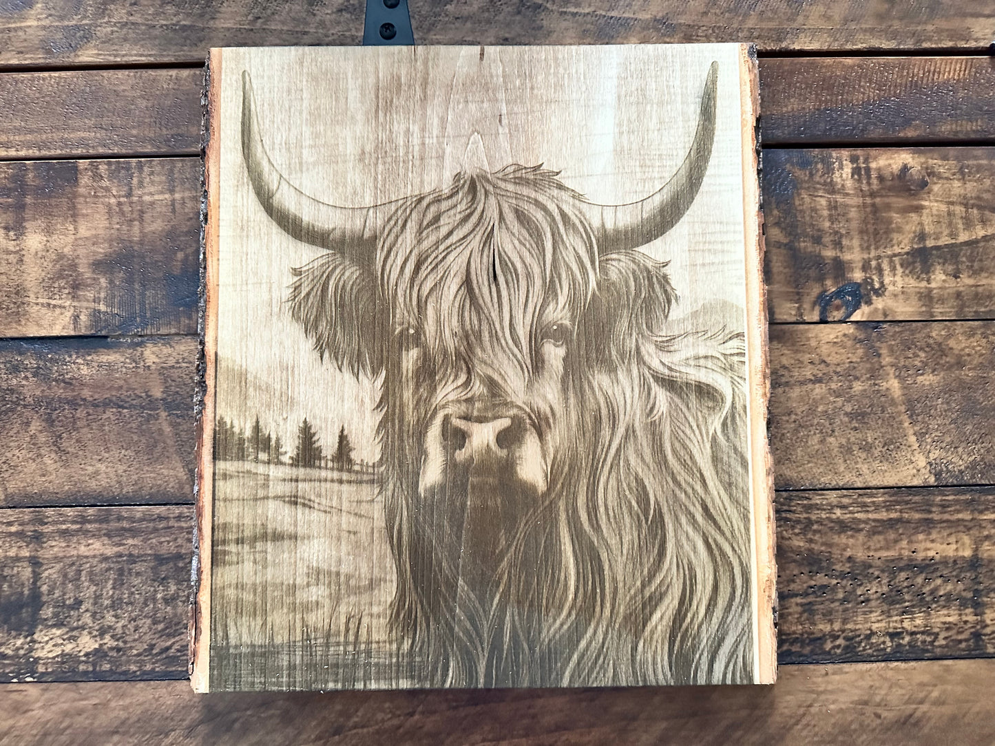 Highland Cow engraving