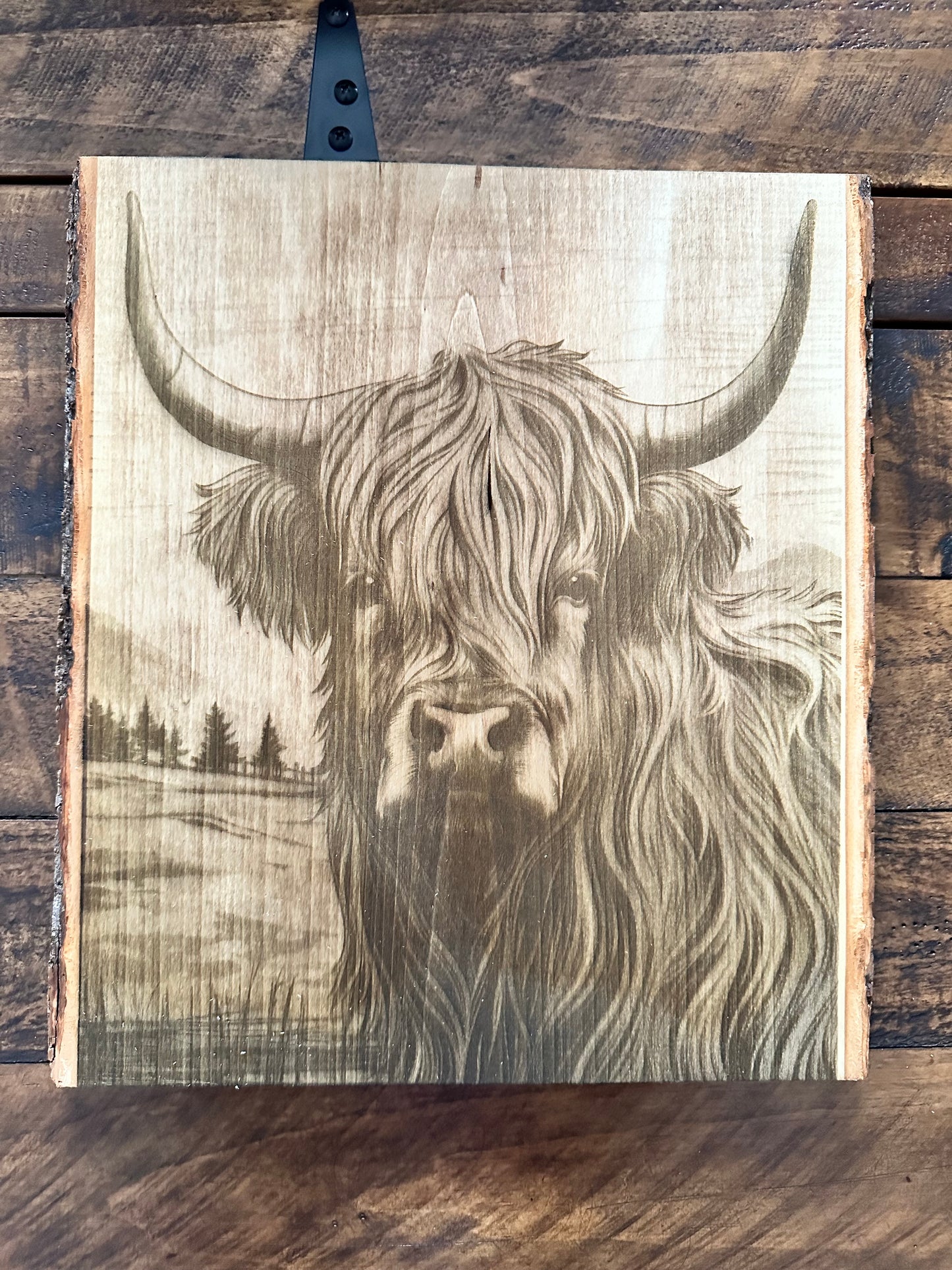 Highland Cow engraving