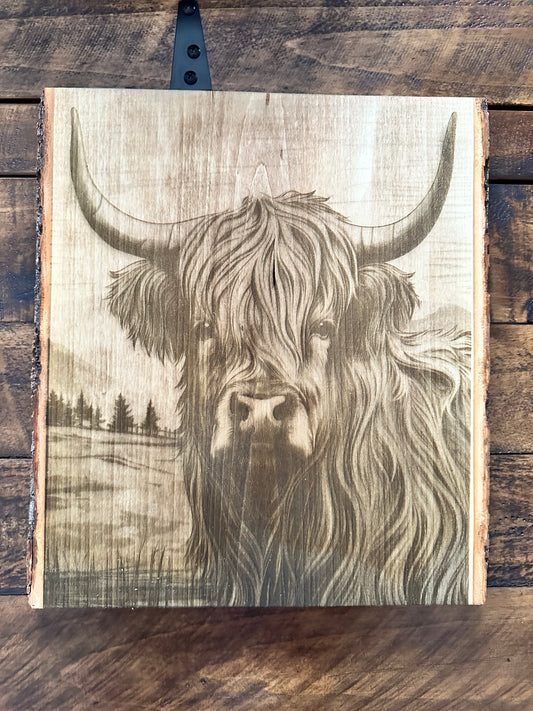 Highland Cow engraving