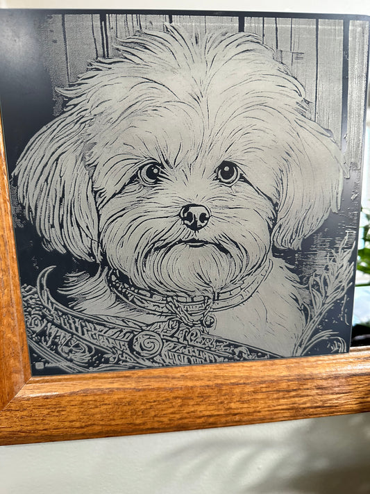 Maltese puppy engraved on mirror.