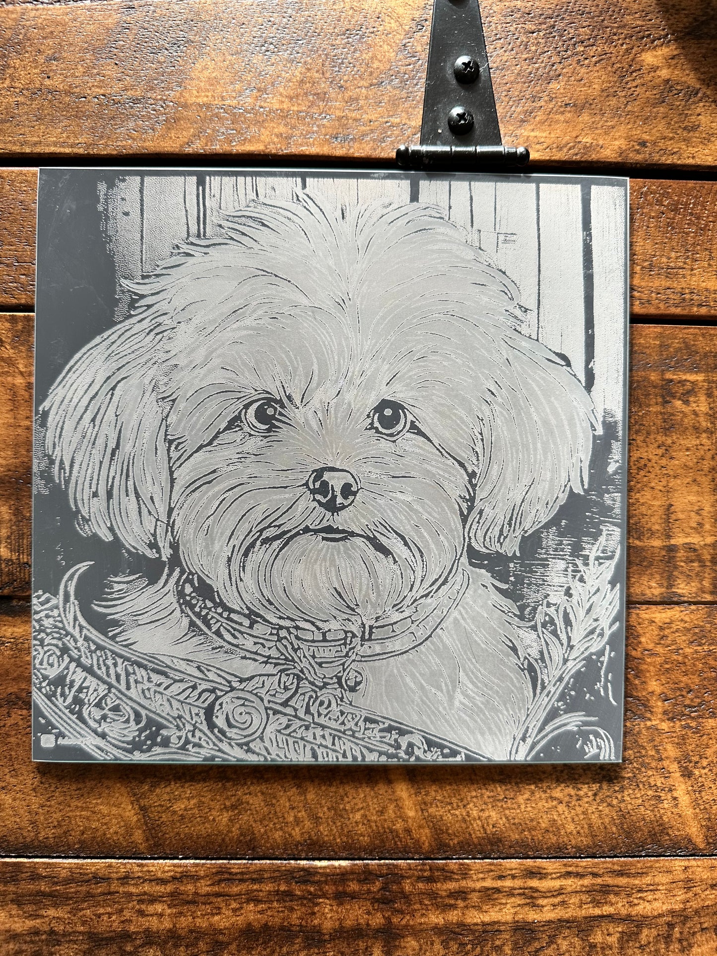 Maltese puppy engraved on mirror.