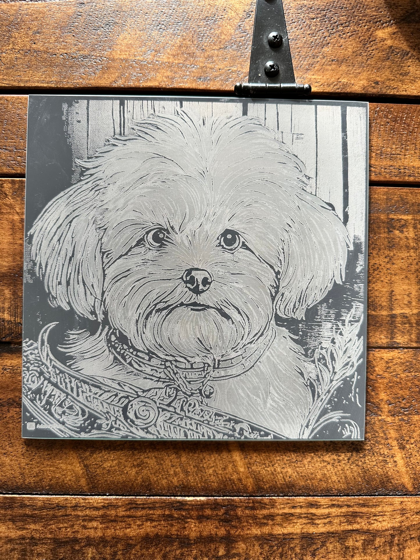 Maltese puppy engraved on mirror.